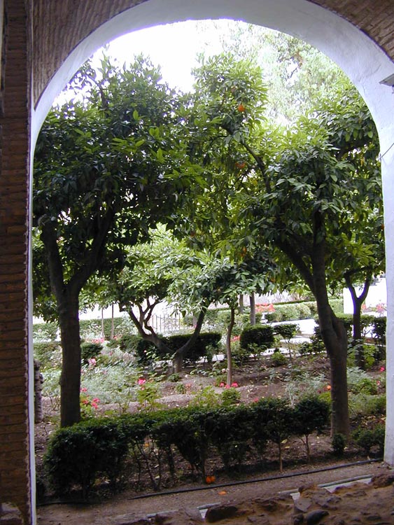 Cordoba-021