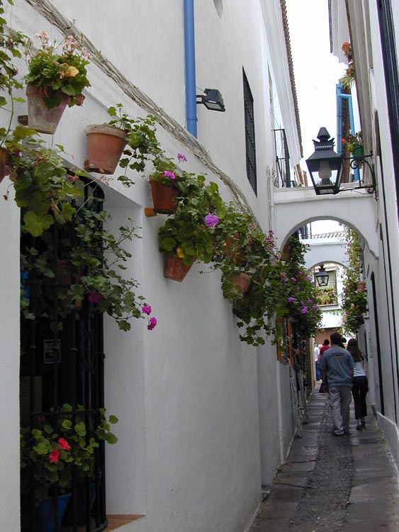 Cordoba-030