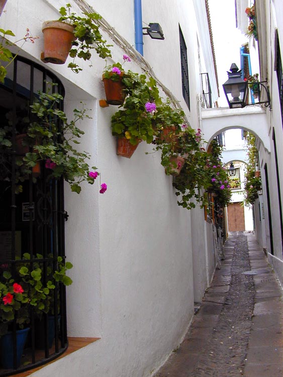 Cordoba-033
