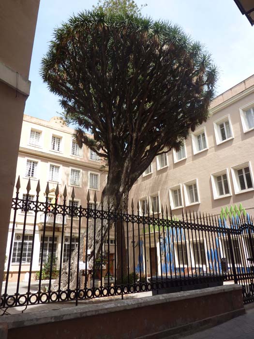 ns-cadiz-ville-035