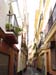 ns-cadiz-ville-020