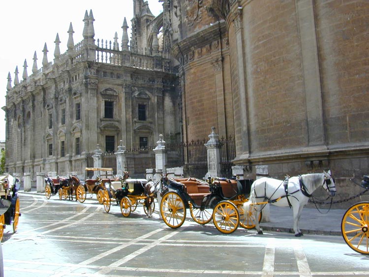 20110511-sevilla-58c