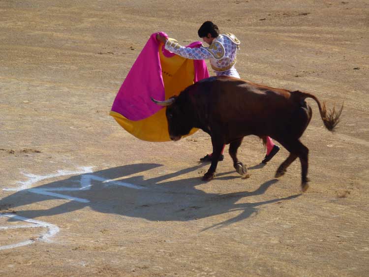 20130816-corrida-castela--004