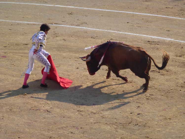 20130816-corrida-castela--011