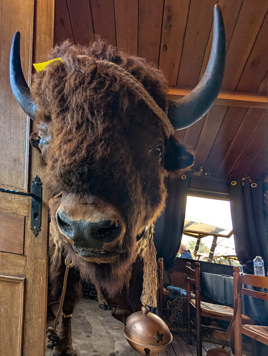 20251116-Remerciements-103a