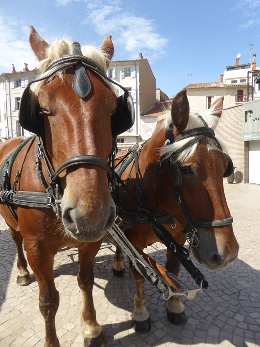 20240818-Feria2024-Romeria-092