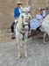 20250817-Romeria-108