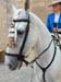 20250817-Romeria-118