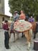 20250817-Romeria-132