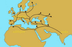 carte des migration Rom